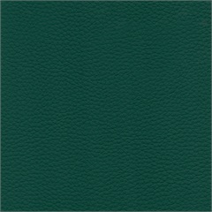Delta Vinyl Upholstery Fabric